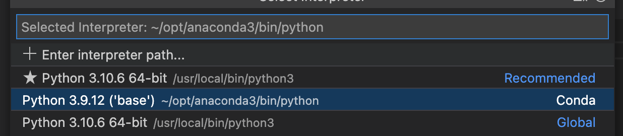 python interpreter